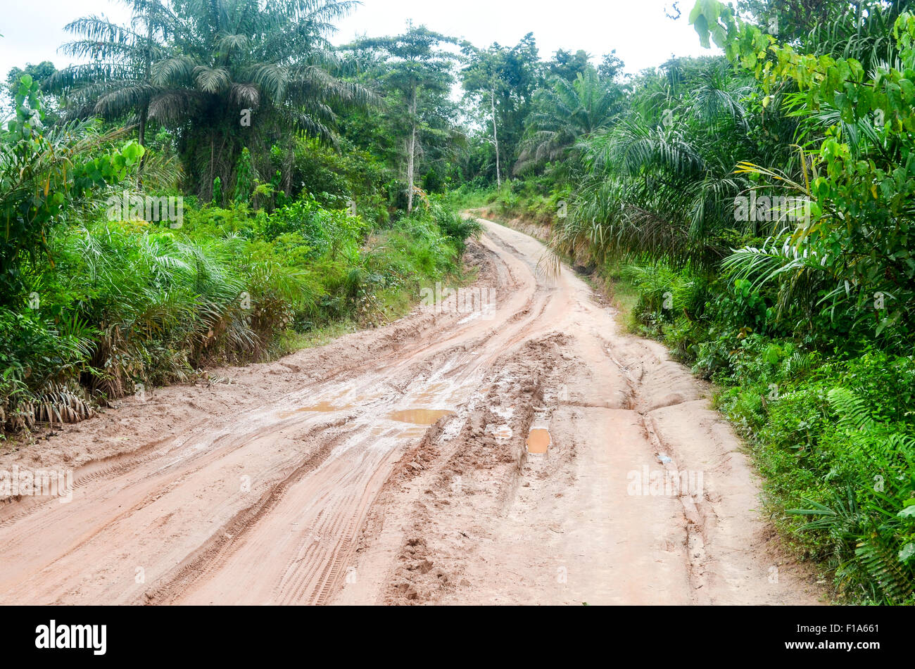Feldweg in Côte d ' Ivoire Stockfoto