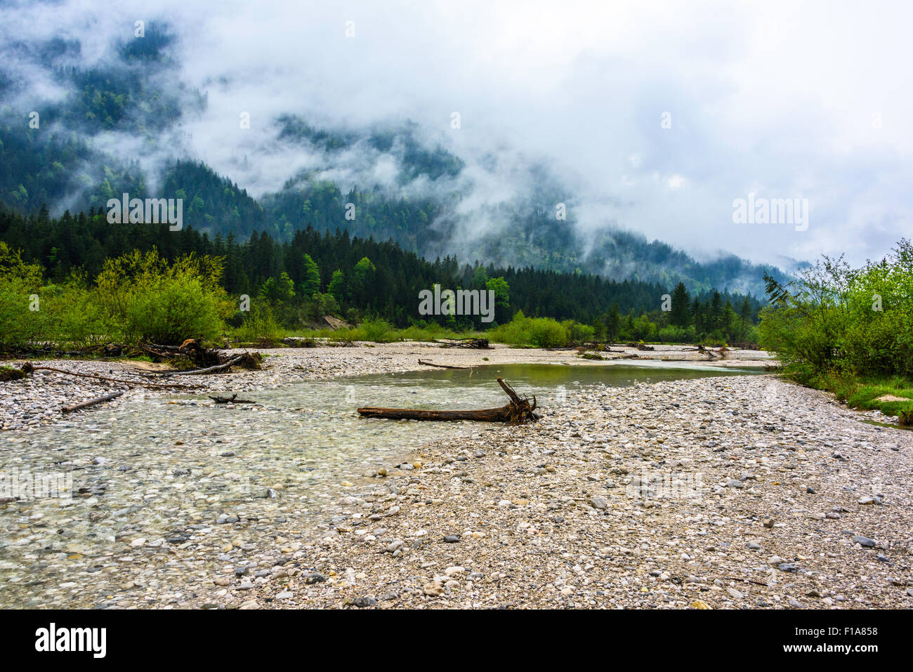 Aussicht in der Nähe der Isar River, Deutschland und Österreich (Grenzgebiet) Stockfoto