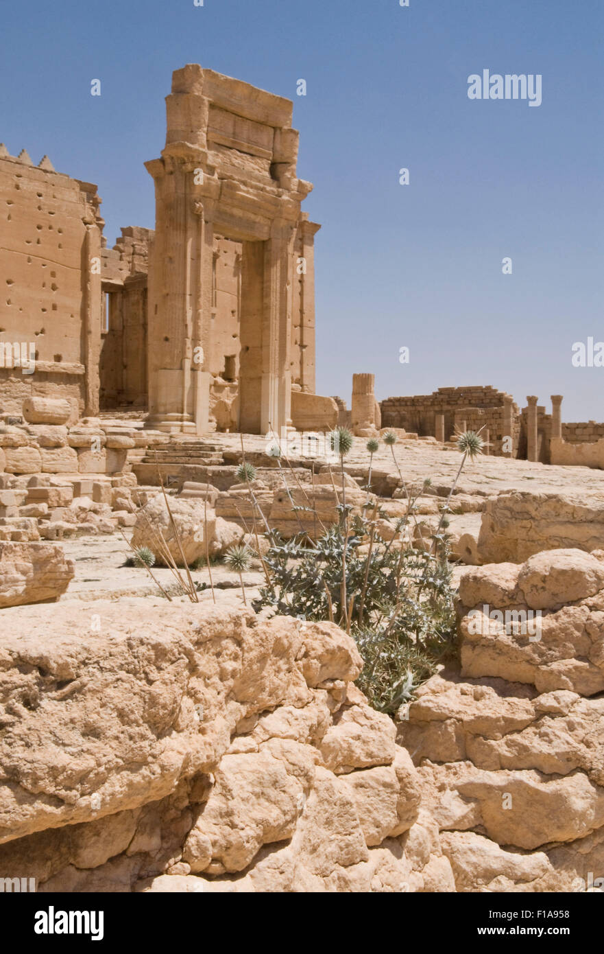 Palmyra, Syrien. Tempel des Bel. 2. Jahrhundert römische Ruinen.  UNESCO-Weltkulturerbe. Obligatorische Kredit Jo Whitworth Stockfoto