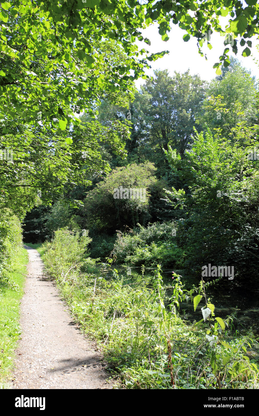 Basingstoke Canal, England UK Stockfoto