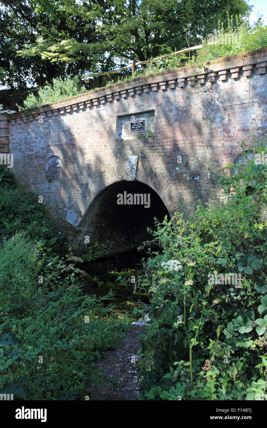 Der Greywell-Tunnel auf der Basingstoke Canal, England UK Stockfoto