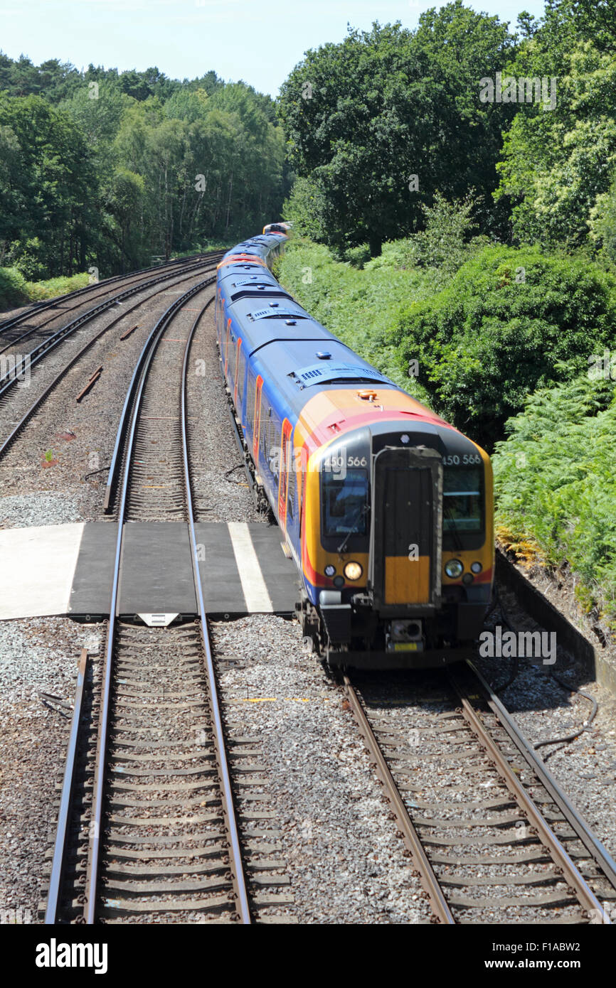 South West Trains Eisenbahnlinie Surrey England UK Stockfoto