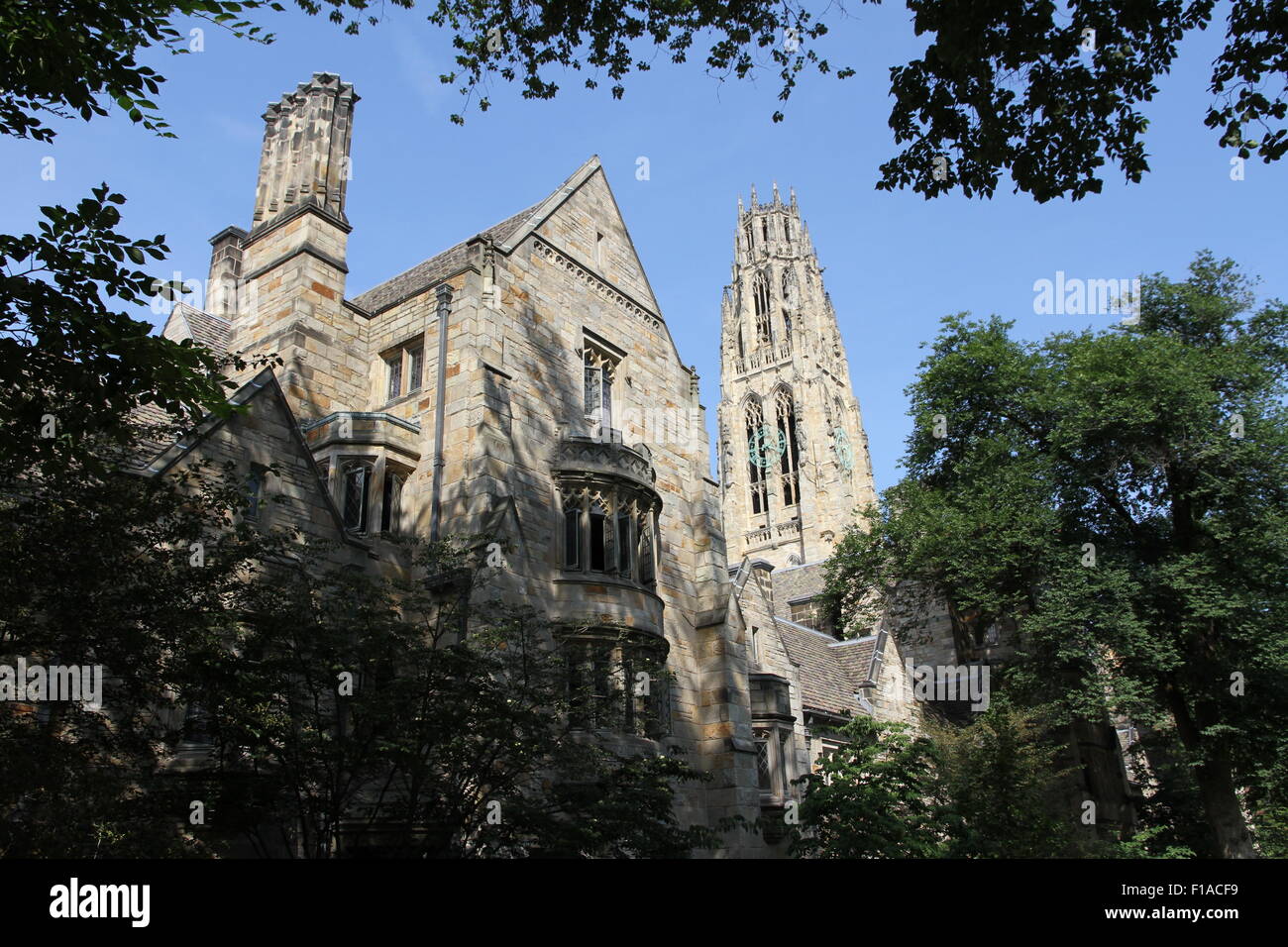 Yale University in New Haven, Connecticut Stockfoto