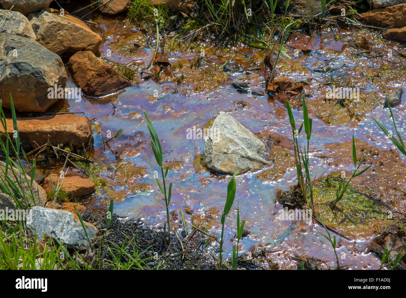 Ölteppich Spill Verschmutzung im Stream Stockfoto