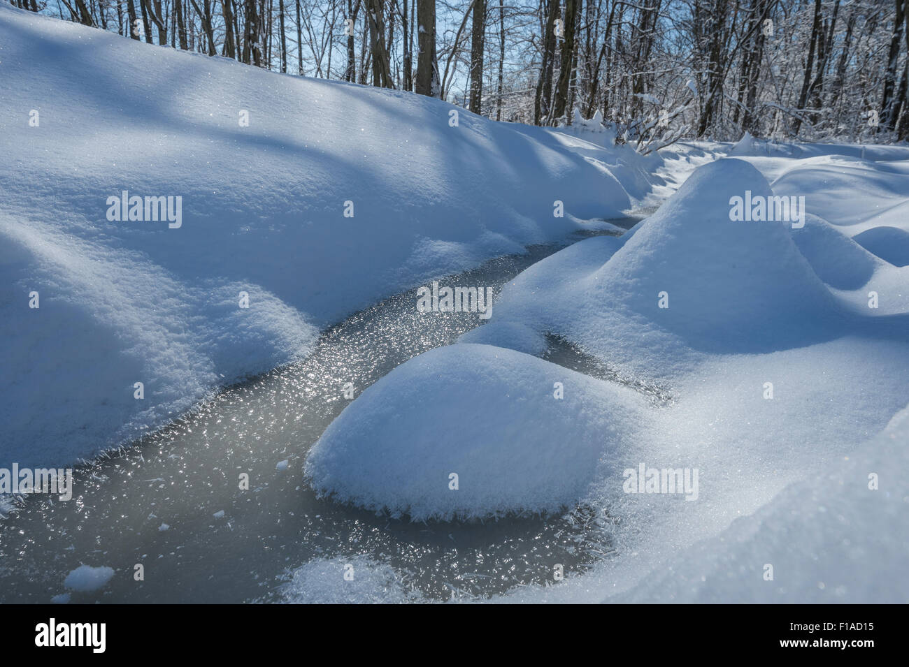 Schneebedeckte Felsen In gefrorenen Bach Stockfoto