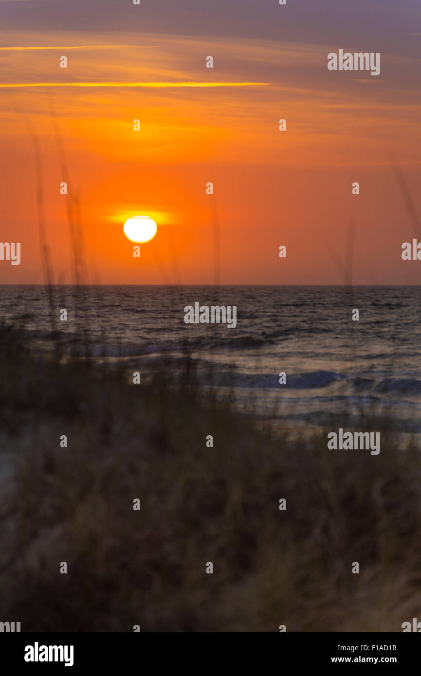 Sand Dünengras & Schilf, mit Sonnenaufgang am Strand, Hilton Head Island, South Carolina, USA Stockfoto