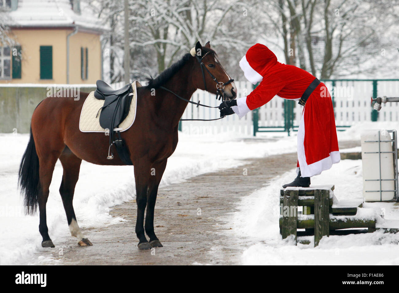 Koenigs Wusterhausen, Deutschland, Santa Claus will auf seinem Pferd aufsteigen Stockfoto