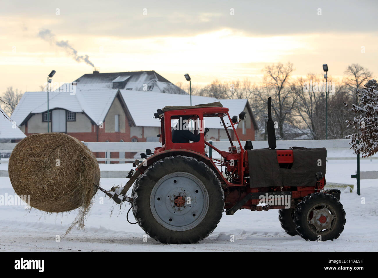 Koenigs Wusterhausen, Deutschland, Strohballen wird mit einem Traktor transportiert. Stockfoto