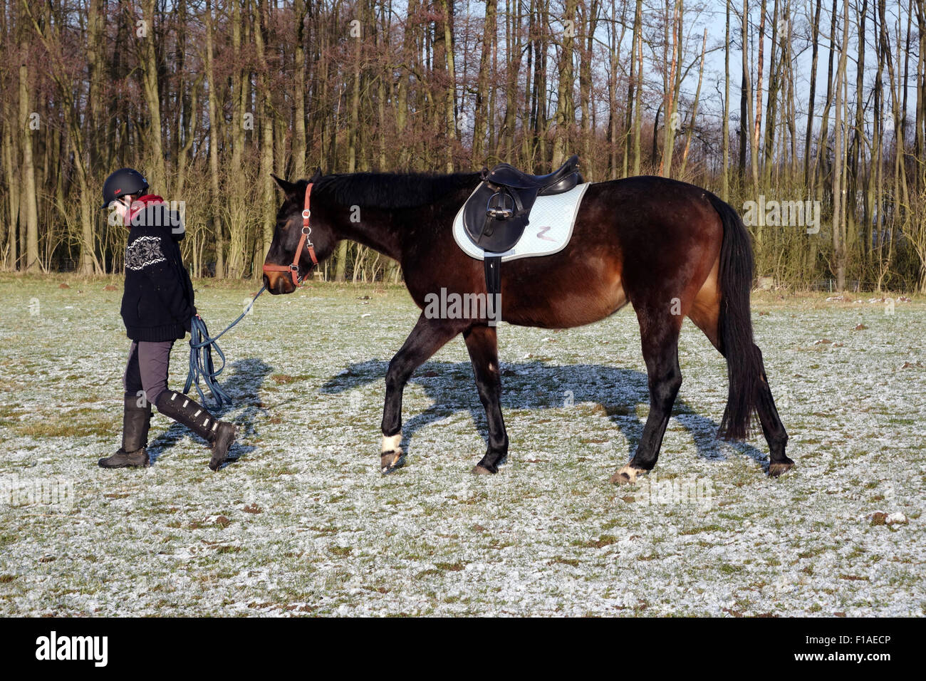 Neu Kätwin, Deutschland, führt Mädchen ihre gesattelten Pferd Stockfoto