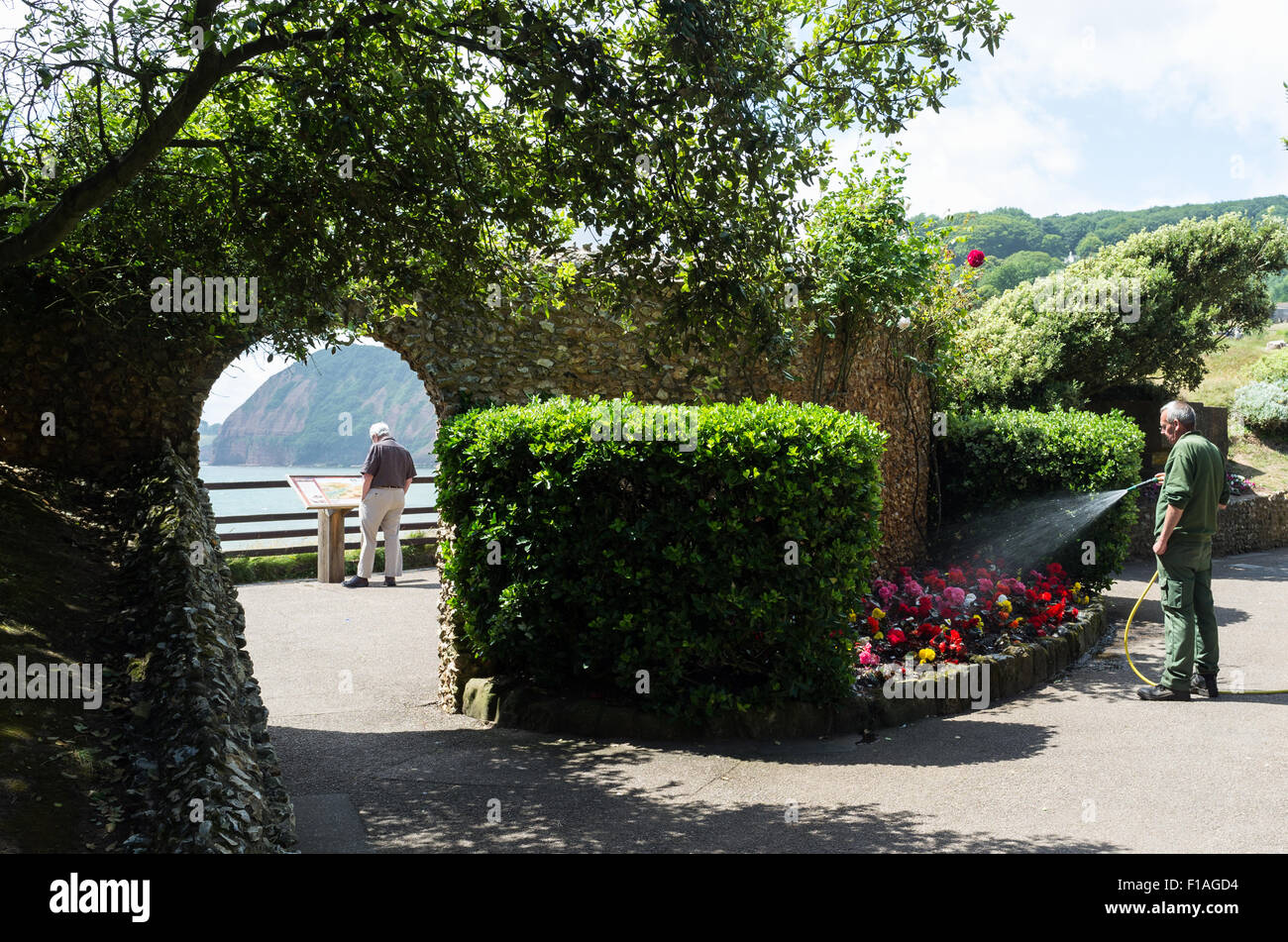 Sidmouth. 2015. Connaught Gärten in Sidmouth mit einem Gärtner Bewässerung Pflanzen und ein Tourist ein öffentlichen Zeichen zu lesen. Stockfoto