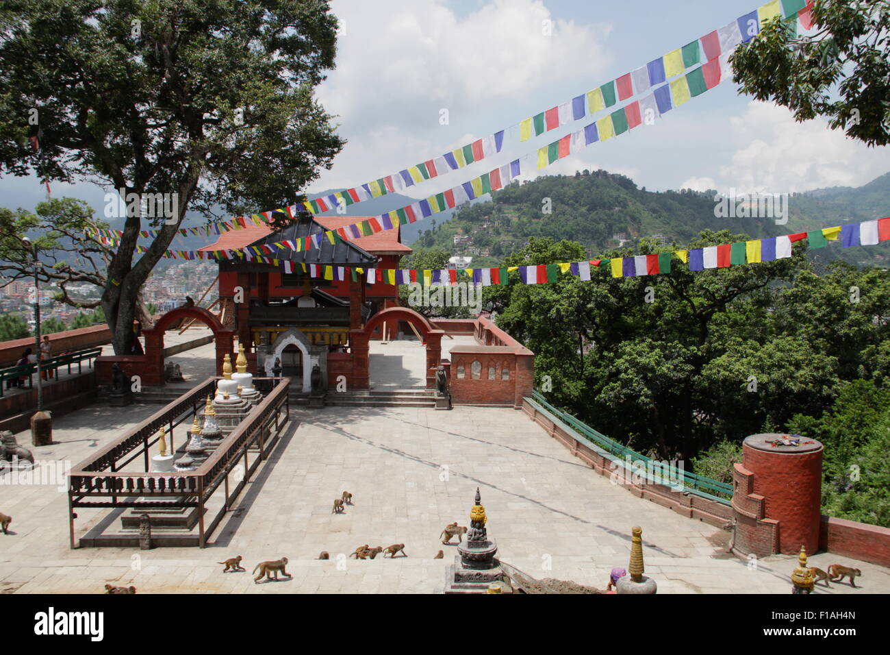 Swayambunath Stupa "Affentempel" in der Nähe von Kathmandu Stockfoto