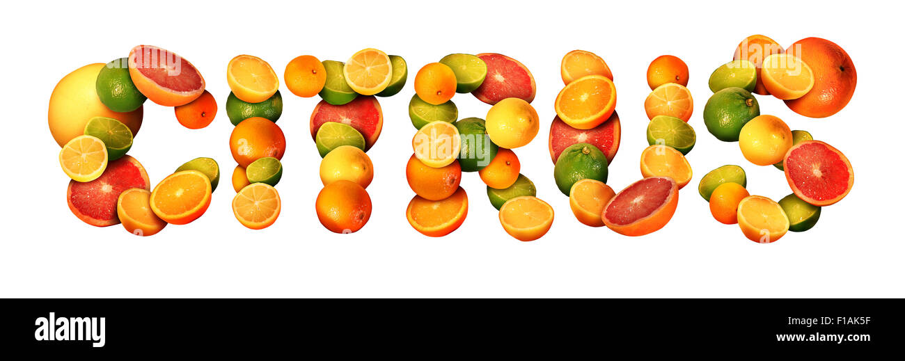 Zitrus Textkonzept als eine Gruppe von Früchten mit Orangen Zitronen Mandarinen und Grapefruit als Symbol für gesunde Ernährung und Immunsystem steigern mit natürlichen Vitaminen isoliert auf einem weißen Hintergrund Kalk. Stockfoto