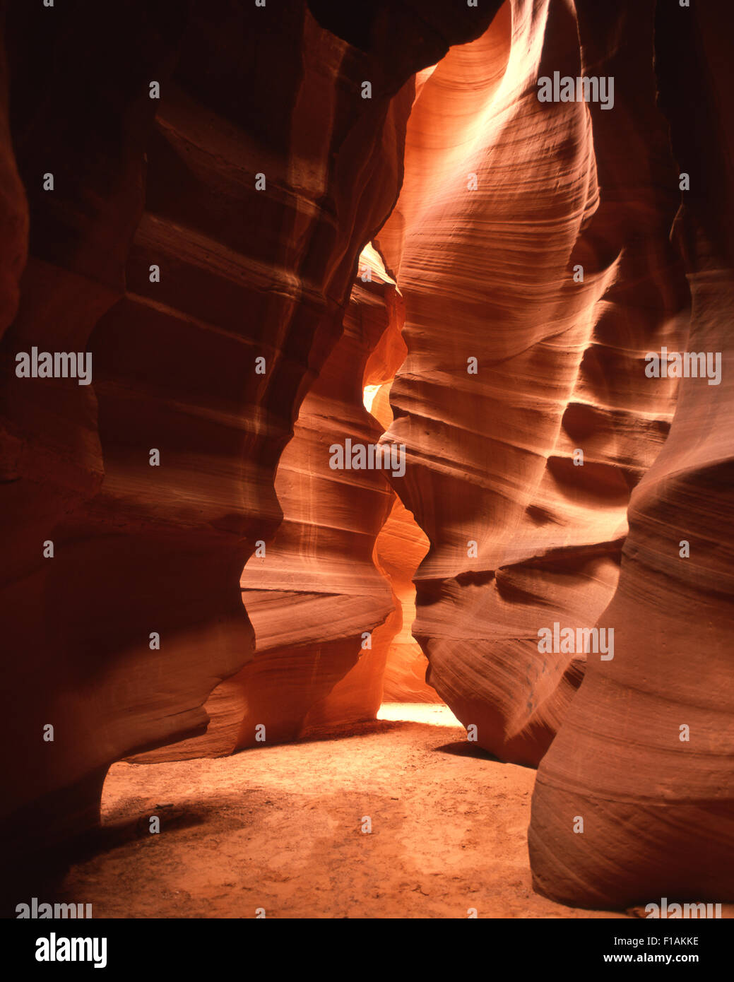 Antelope Canyon-Nationalpark Stockfoto