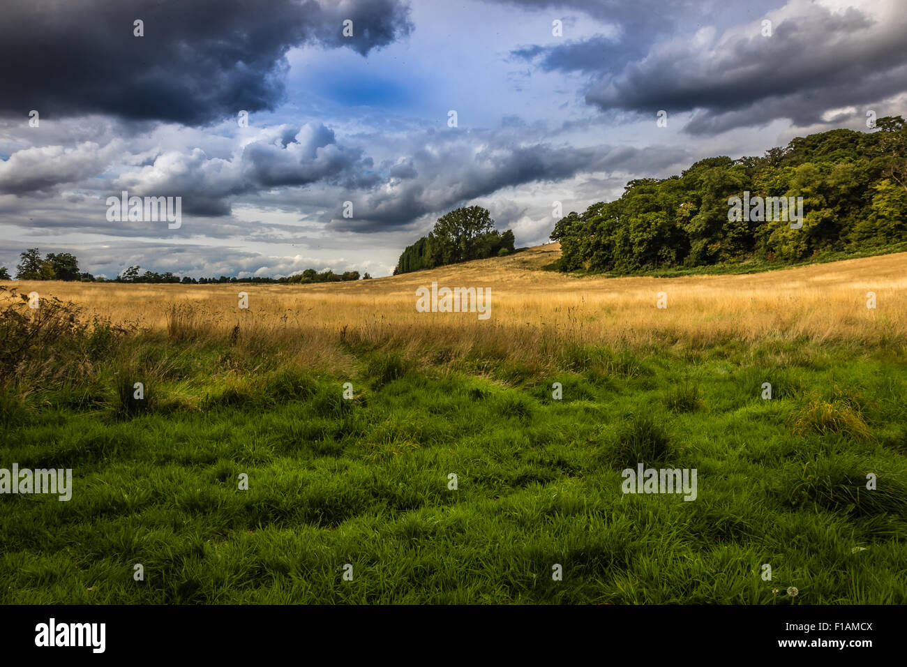 Himley Hall umliegenden Felder. Stockfoto