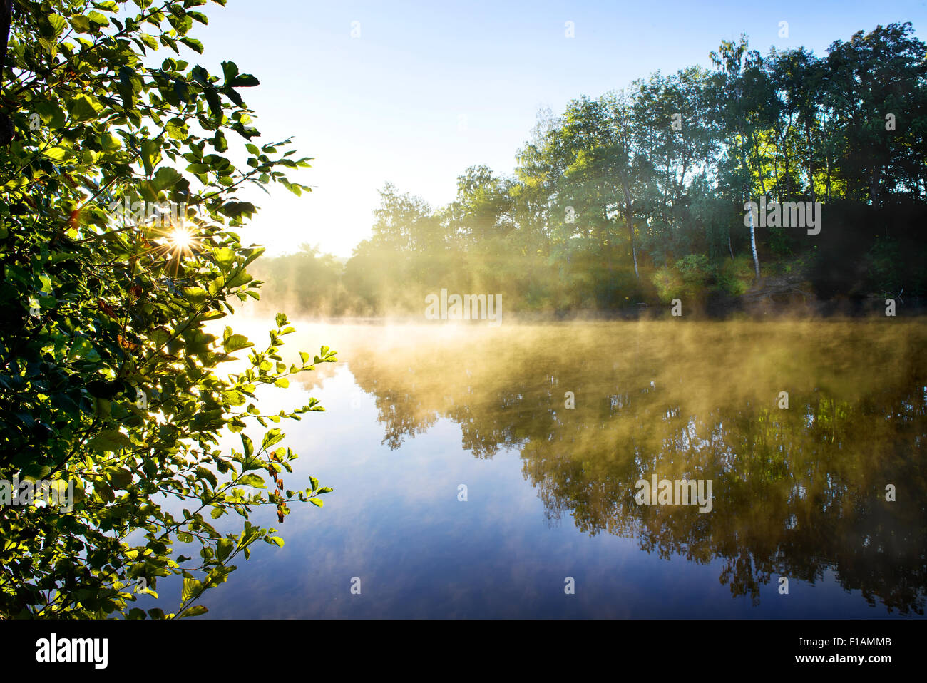 Nebel am Morgen Fluss im Spätsommer Stockfoto