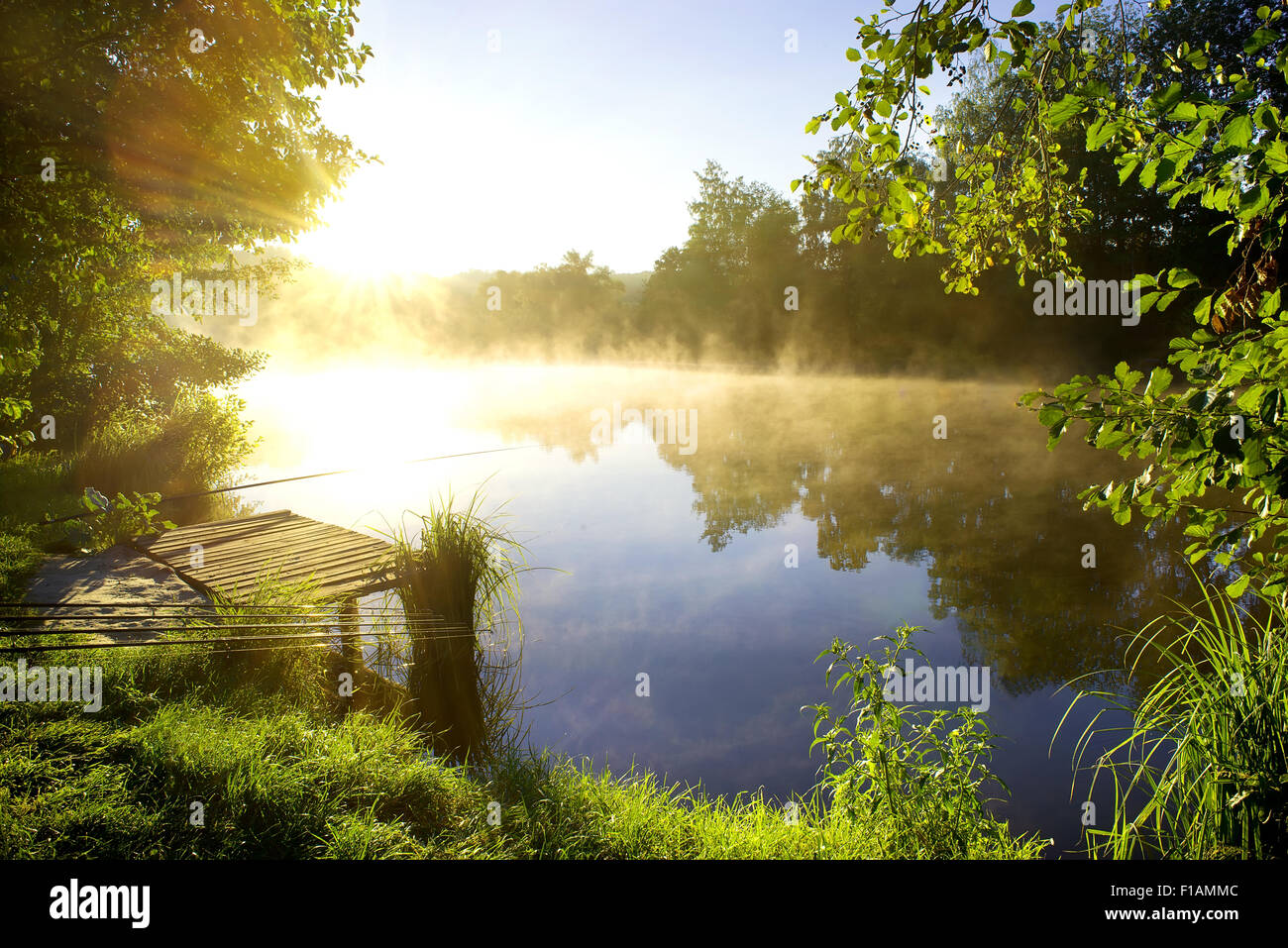 Morgenfischen an einem schönen Fluss im Wald Stockfoto