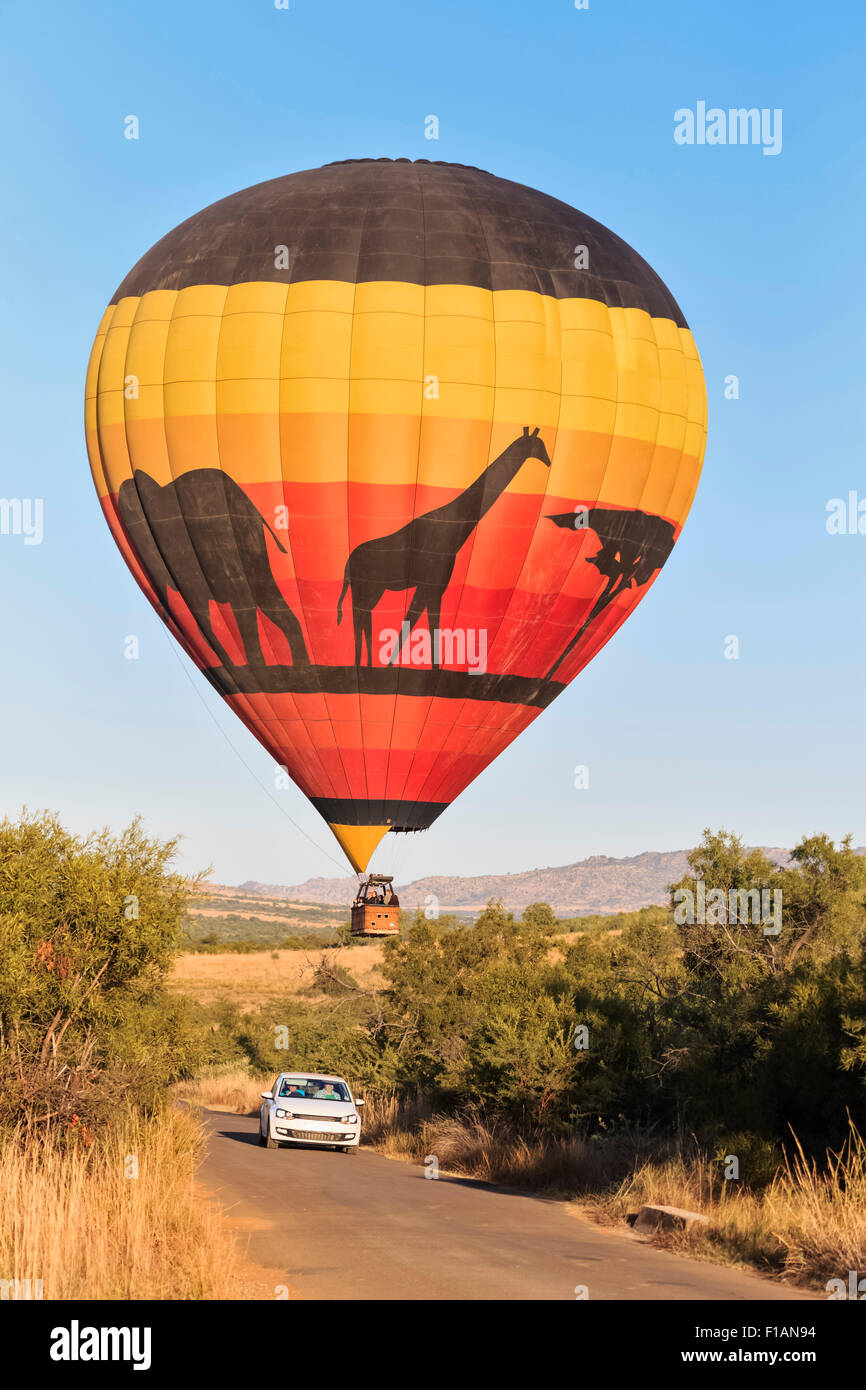 Südafrika, Nord-West, Bojanala Platinum, Heißluft-Ballon im Pilanesberg Game Reserve Stockfoto