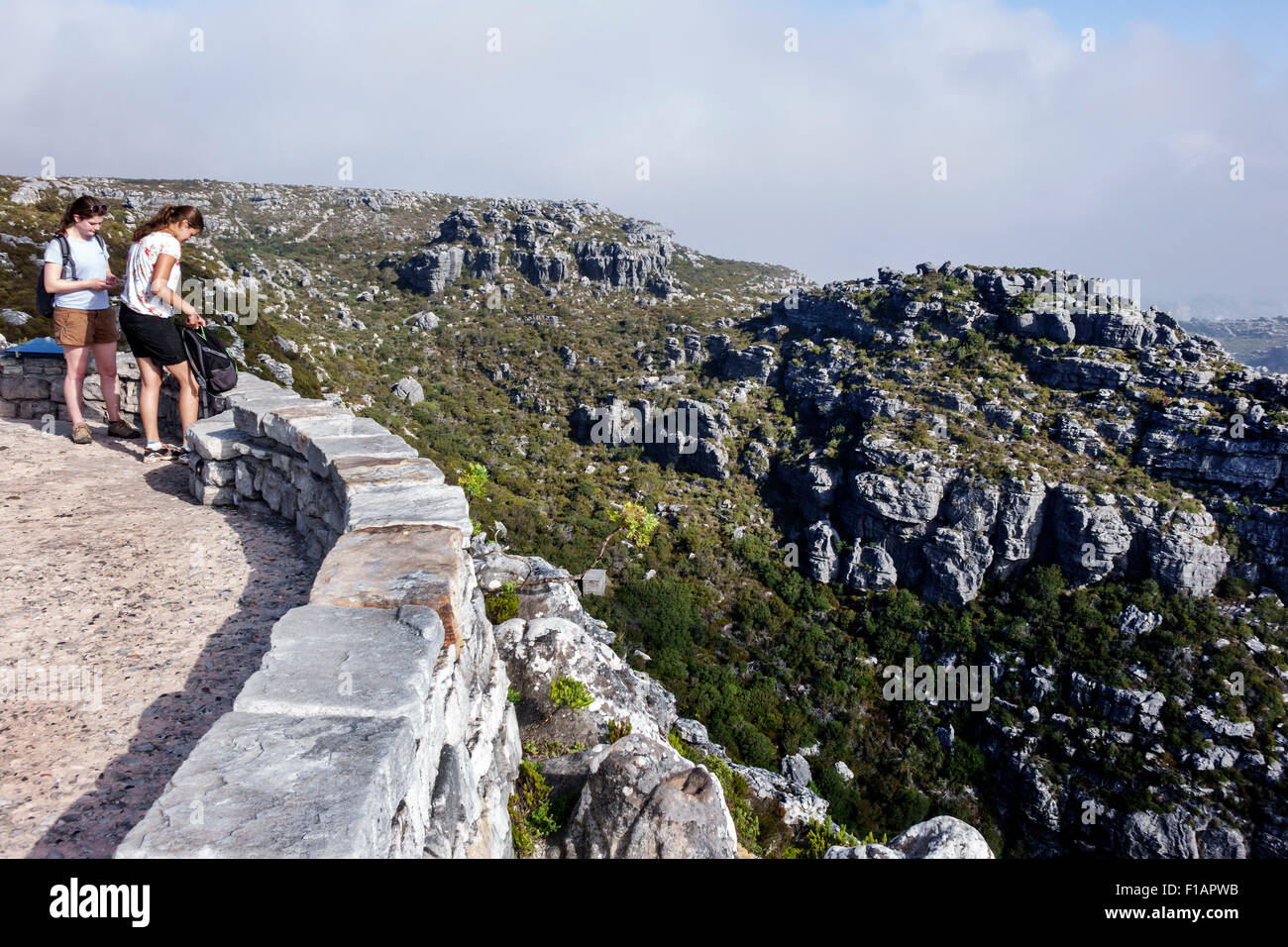 Kapstadt Südafrika, Table Mountain National Park, Naturschutzgebiet, Spitze, Wandern, Pfad, Aussichtspunkt, Frau weibliche Frauen, Freunde, Wanderer, SAfri150312122 Stockfoto