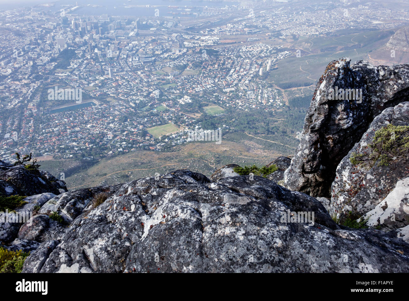 Kapstadt, Südafrika, Table Mountain National Park, Naturschutzgebiet, oben, Blick, Felsen, Klippen, City Bowl, Innenstadt, SAfri150312135 Stockfoto