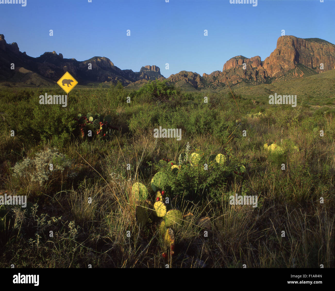 Big Bend Stockfoto