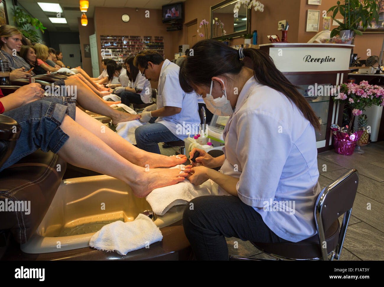 Vietnamesisch-amerikanische, Erwachsene Frau, Fußpflegerin, Auftragen von Nagellack, Pediküre, nail Salon, Novato, Marin County, Kalifornien Stockfoto