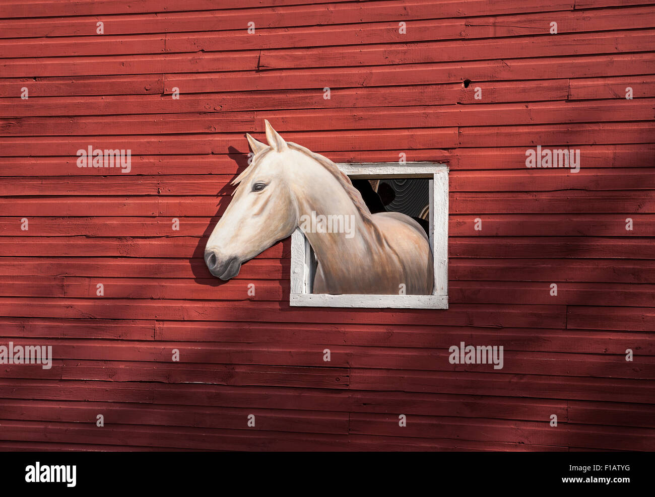 Schließen Sie die rote Scheune Wand in ein Bauernhof mit einem weißen Pferd Kunst im Fenster auf einem Bauernhof, Vermont, New England, winter Datei Sz. 9,85 MB Bauernhof Tiere Stockfoto