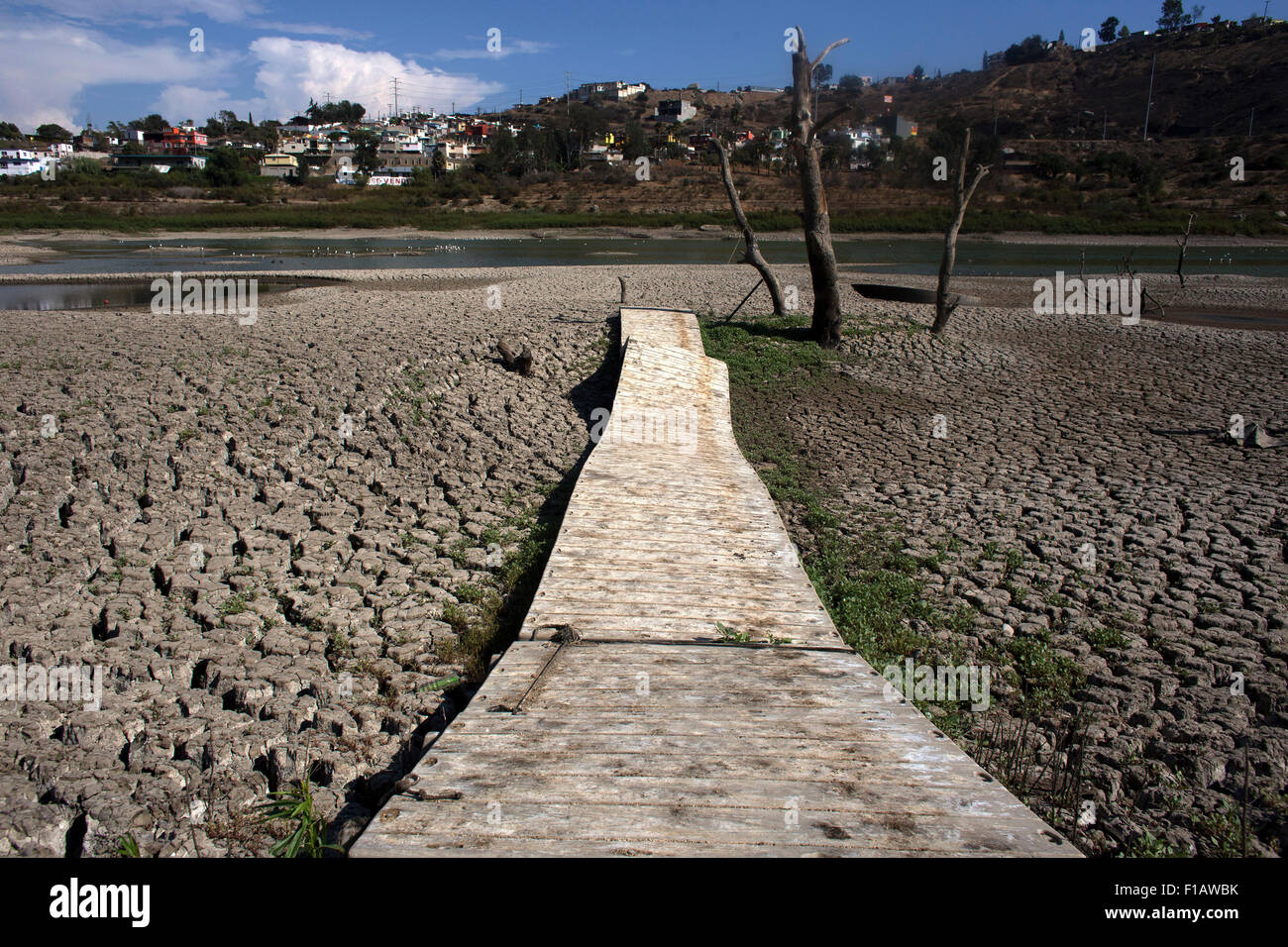 Ensenada. 28. August 2015. Bild aufgenommen am 28. August 2015 zeigt das Flussbett am Emiliano Lopez Zamora Dam in Ensenada Gemeinde, Nordwesten Mexikos. Des Landes Baja California State, insbesondere die Gemeinden Tijuana, Playas de Rosario und Ensenada, Zeuge eine schwere Dürre. © Guillermo Arias/Xinhua/Alamy Live-Nachrichten Stockfoto