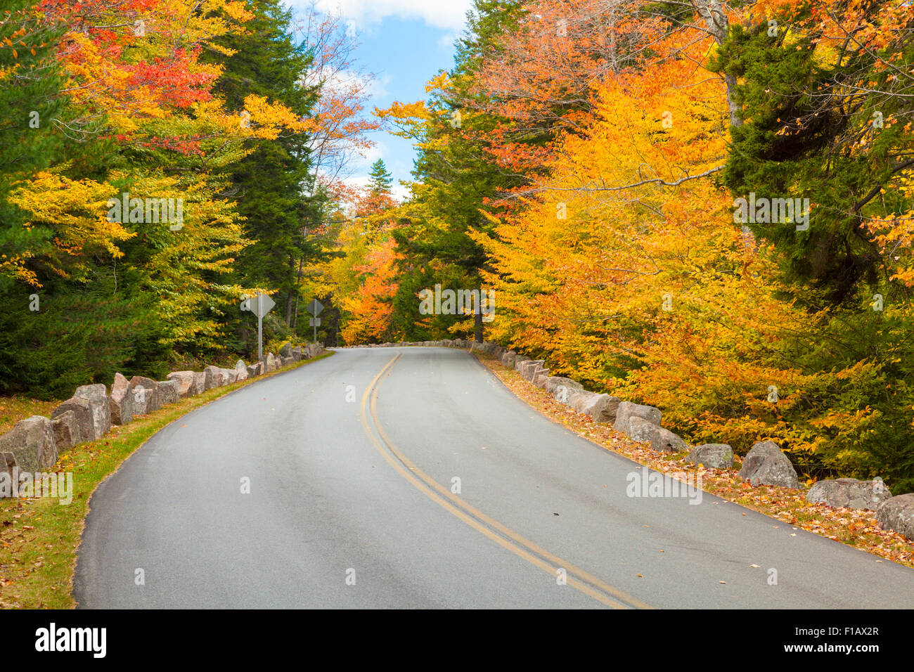 Park Loop Road im Herbst, Acadia National Park, Maine Stockfoto