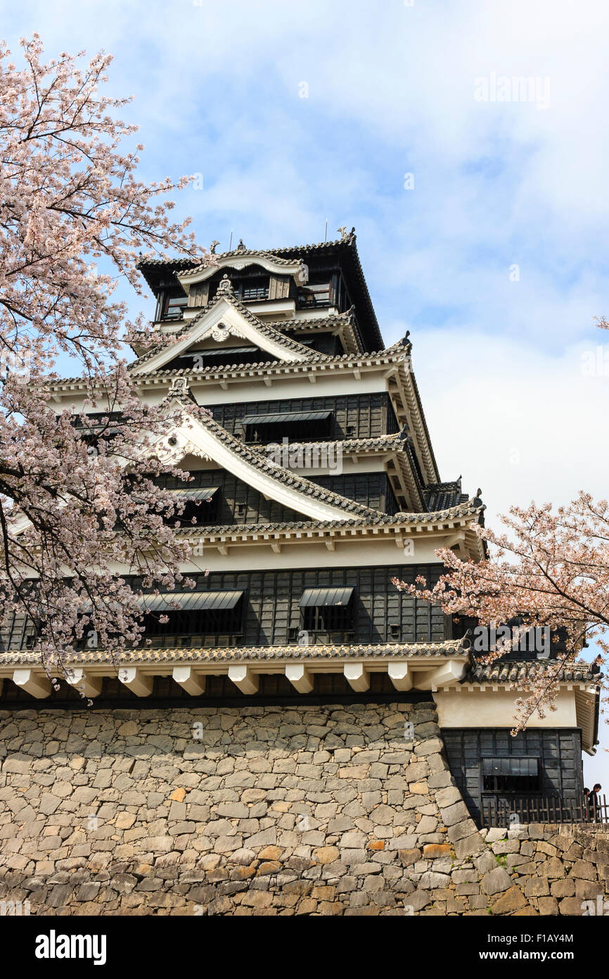 Japanische Burg Kumamoto. Die Daitenshu, mehr halten, mit den kleineren halten, Shotenshu. Frühling mit Cherry Blossom. Pre-2016 Erdbeben. Stockfoto