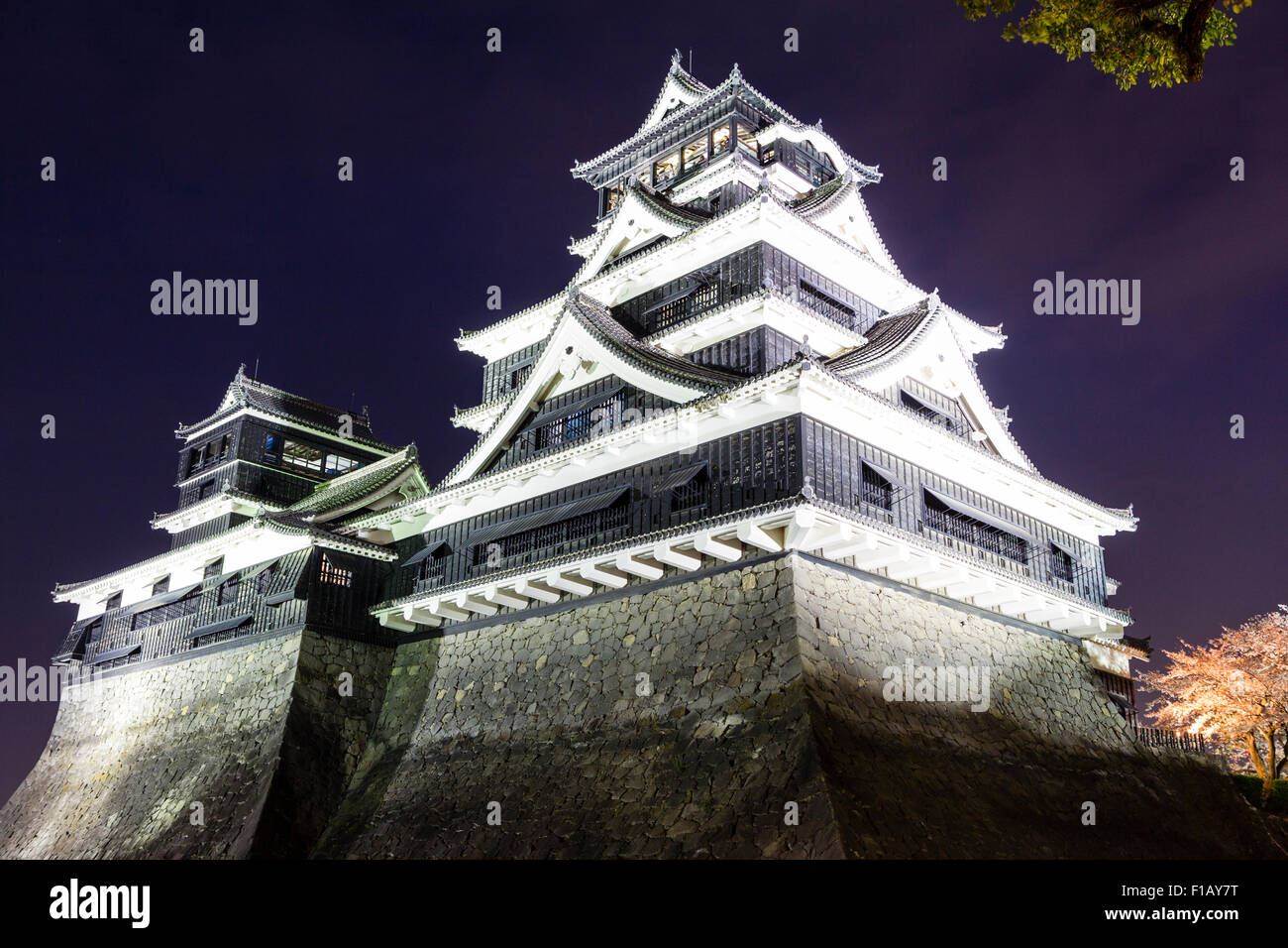 Schloss Kumamoto, vor Erdbeben 2016 anzeigen. Die Daitenshu, mehr halten, mit den kleineren halten, Shotenshu, nachts, Kirschblüte im Vordergrund Stockfoto