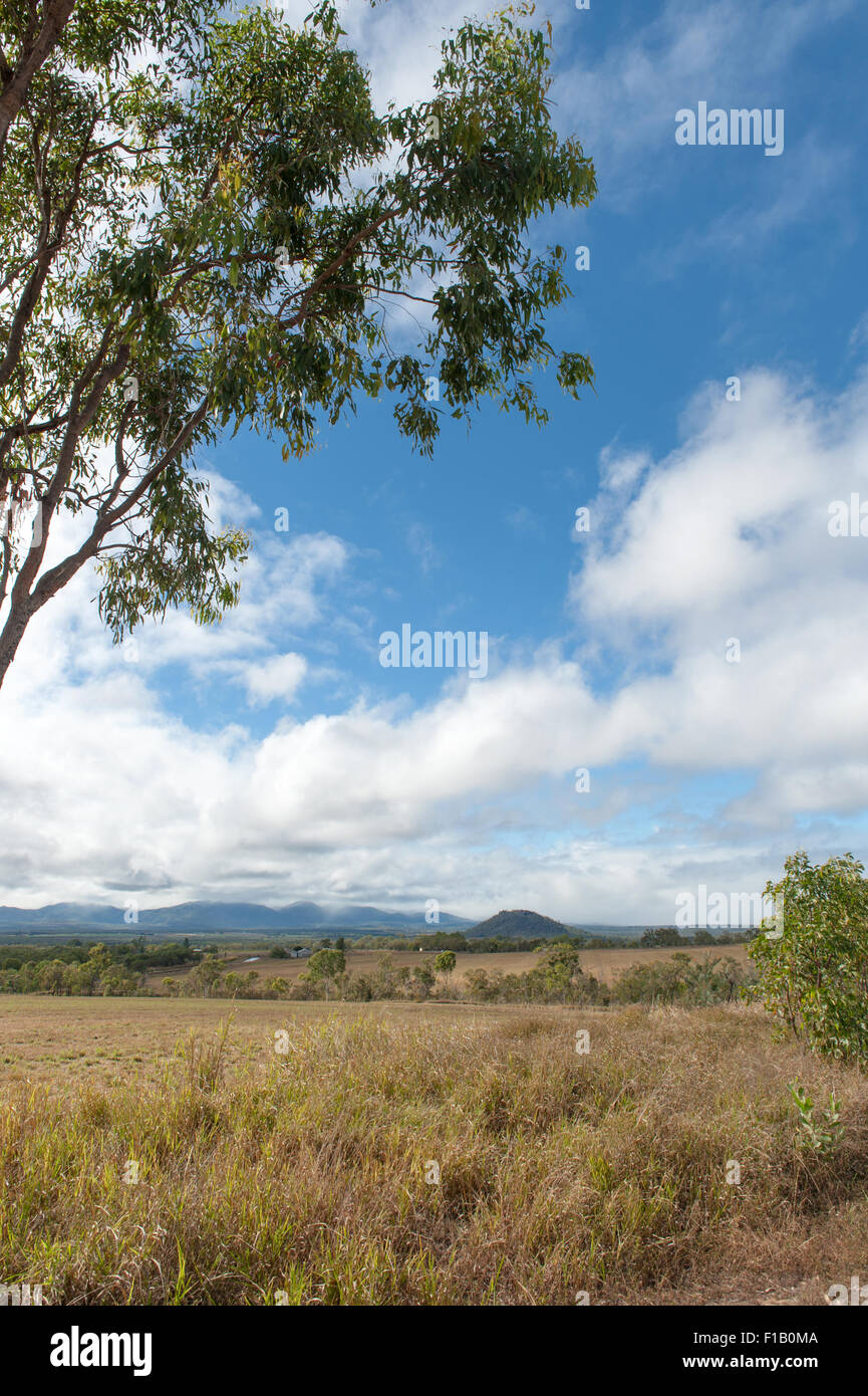 Typische Landschaft in der Nähe von Mareeba, Atherton Tablelands, Queensland, Australien Stockfoto