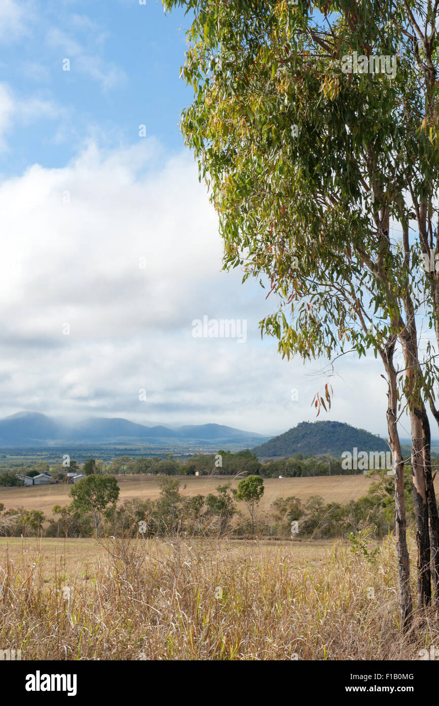 Typische Landschaft in der Nähe von Mareeba, Atherton Tablelands, Queensland, Australien Stockfoto