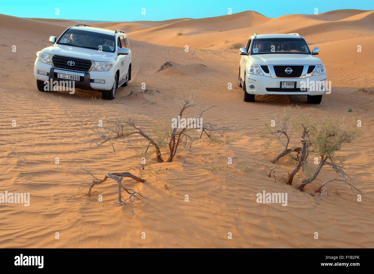 Emirats Sharjah, Vereinigte Arabische Emirate. 15. Oktober 2014. Jeep-Safari, Wüste von Sharjah, Sharjah (Emirat), Vereinigte Arabische Emirate © Andrey Nekrassow/ZUMA Wire/ZUMAPRESS.com/Alamy Live-Nachrichten Stockfoto