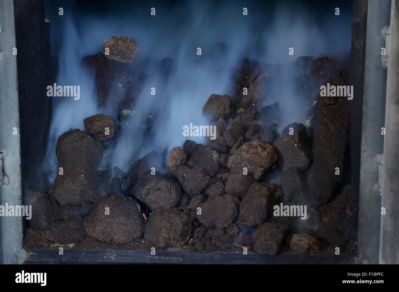 Torf verbrennen in einem Ofen bei Laphroaig Whisky-Destillerie in Islay, Schottland, Großbritannien Stockfoto