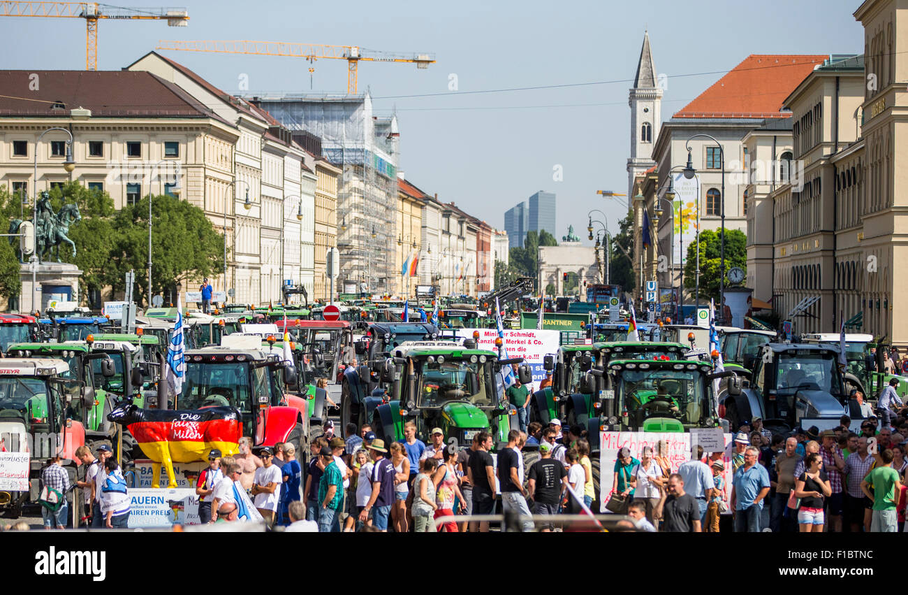 Traktoren stehen in der Ludwigsstrasse in München, 1. September 2015. Hunderte von Bauern protestieren gegen den Preisverfall für Milch. Foto: MARC Müller/dpa Stockfoto