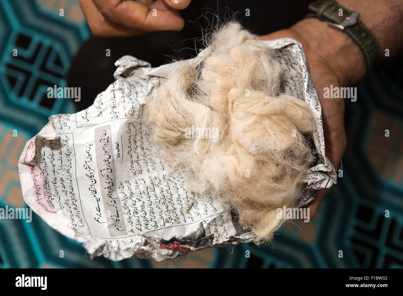 Indien, Jammu & Kaschmir, Srinagar, unbearbeitete raw Pashminawolle in Kashmiri Sprache Zeitungspapier eingewickelt Stockfoto
