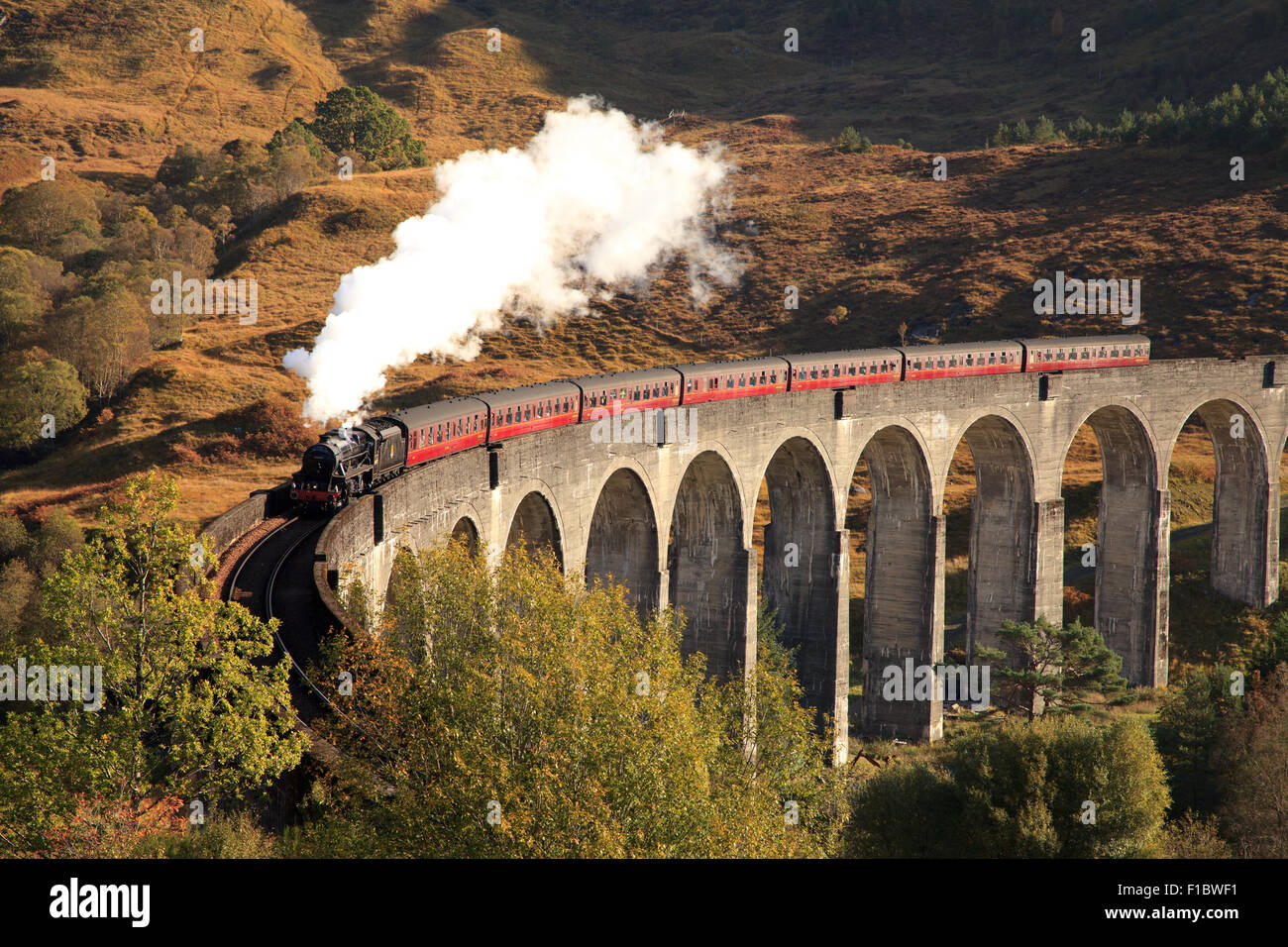 Der Jacobite Dampfzug auf dem Glenfinnan Viadukt Schottland Stockfoto