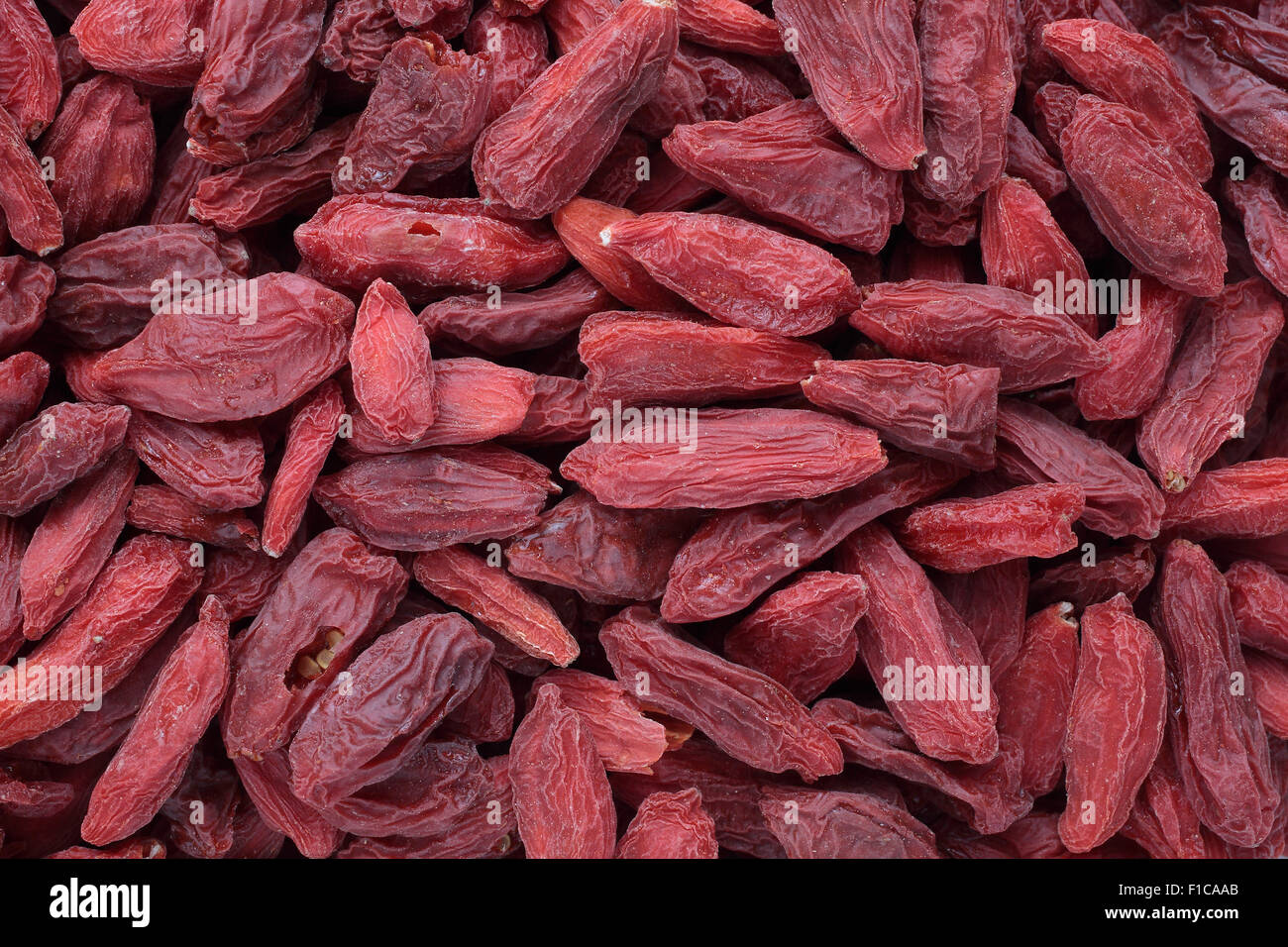 Goji-Beeren, Früchte Beeren und Heilpflanze Stockfoto