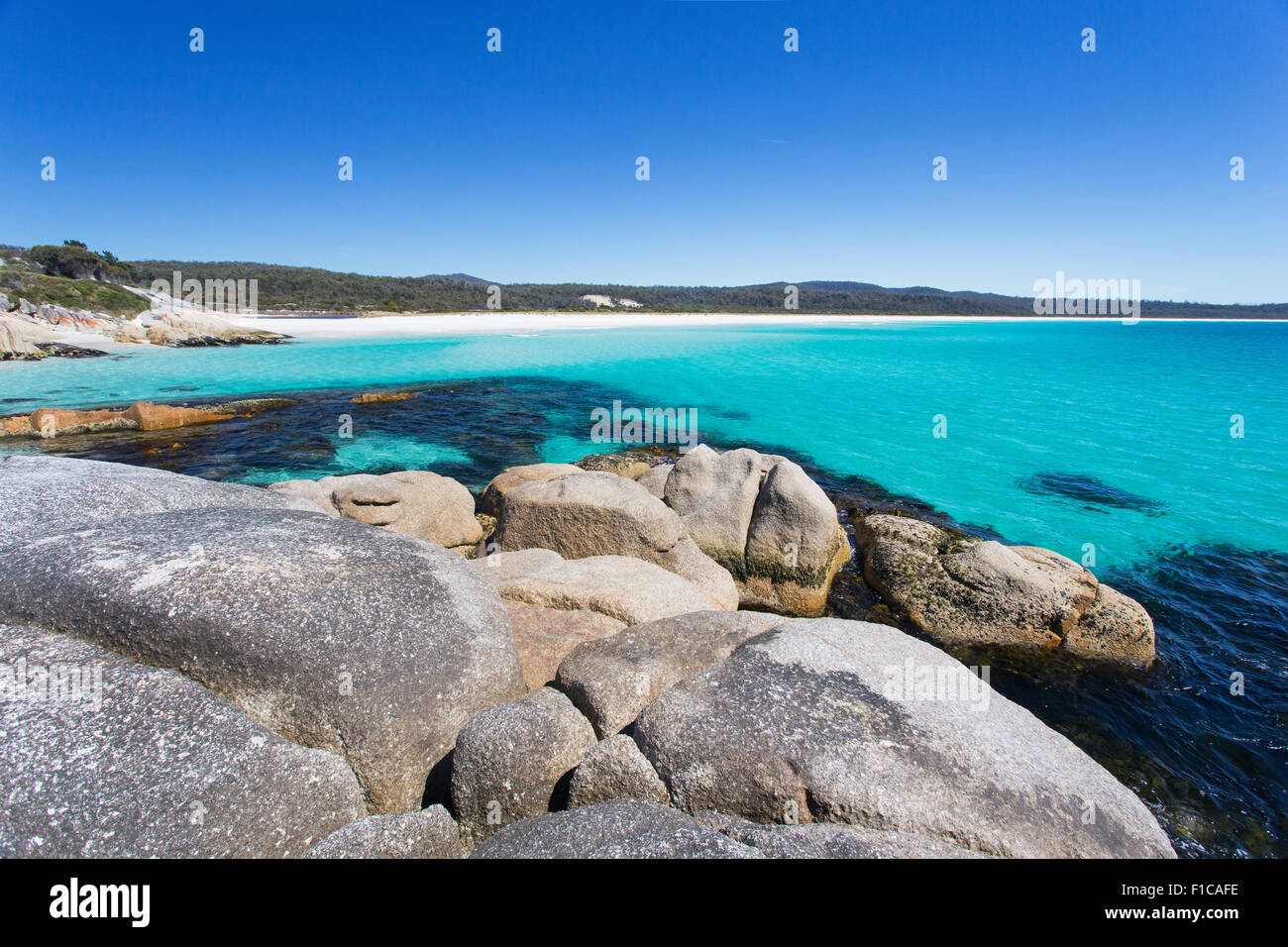 Felsenküste entlang die wunderschöne Bay of Fires an Tasmaniens Ostküste. Stockfoto