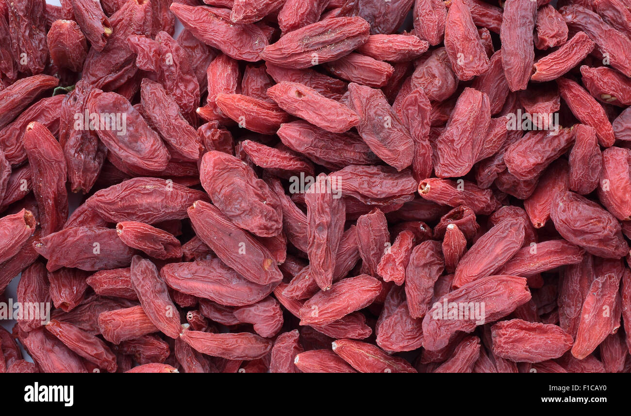 Goji-Beeren, Früchte Beeren und Heilpflanze Stockfoto