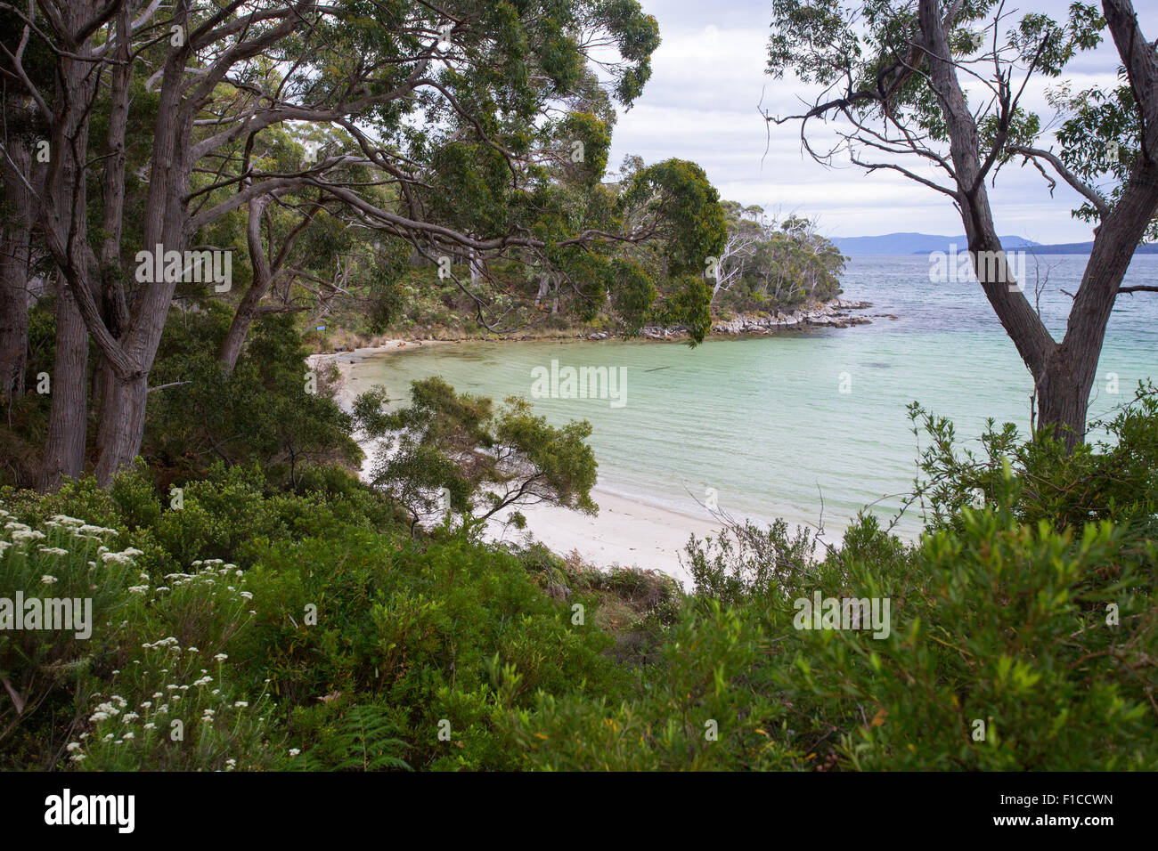 Jetty Beach eine kleine Sandbucht am South Bruny Island, Tasmanien, Australien Stockfoto