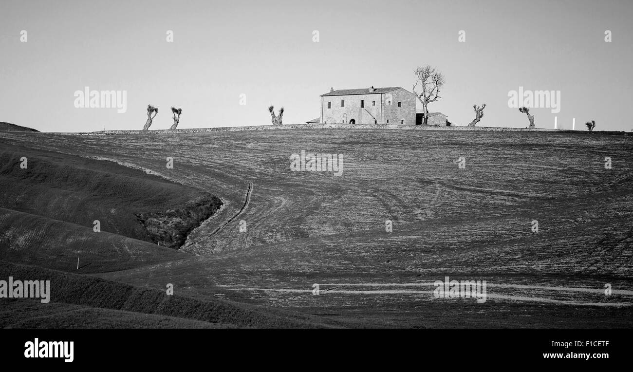 Landschaft im Val d ' Orcia in der Toskana, Italien Stockfoto