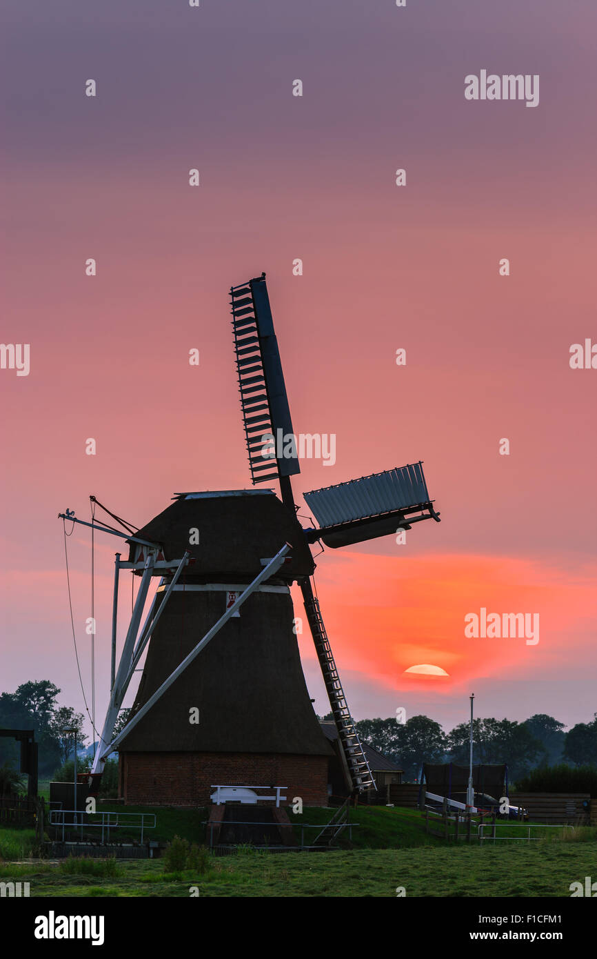 Windmühle De Jonge Held (der junge Held) bei Leegkerk, etwas außerhalb von Groningen, Niederlande. Stockfoto