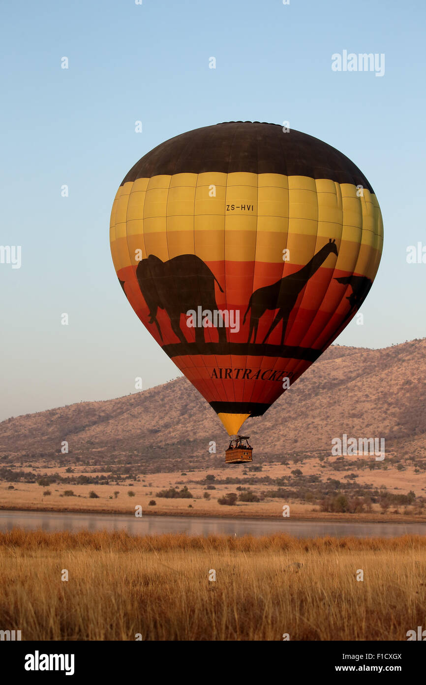 Heißluft-Ballon, Pilanesburg NP, Südafrika, August 2015 Stockfoto