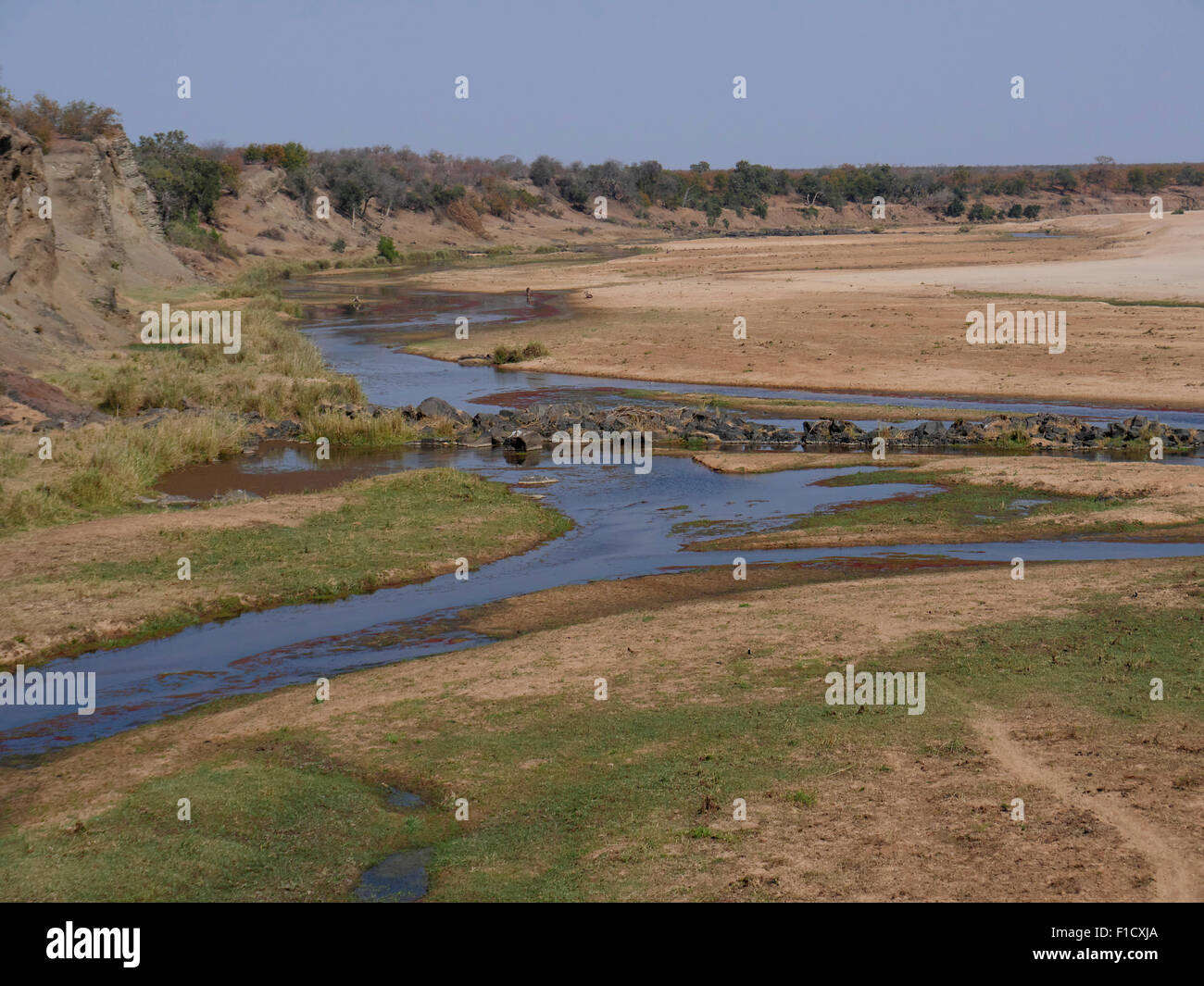 Kruger National Park, Südafrika, August 2015 Stockfoto