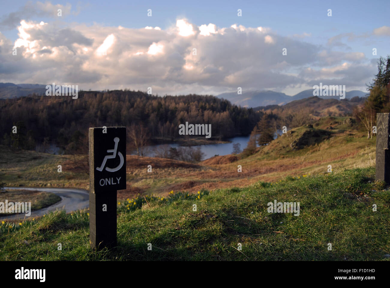 Barrierefreie Parkplätze im englischen Lake District: Malerische Wildnis in Tarn Hows Stockfoto