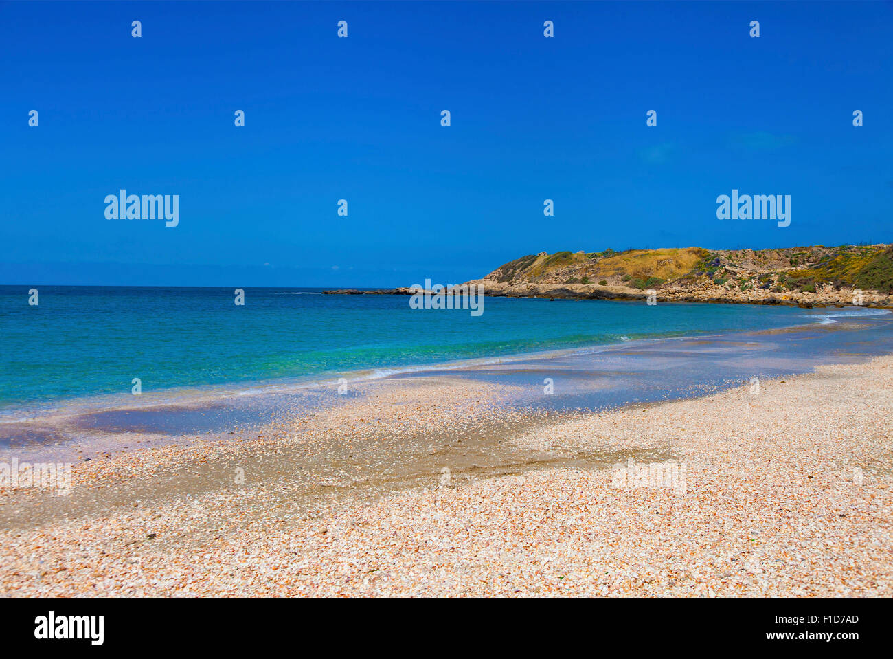 Wunderschöne Aussicht auf Seashell, Strand und fernen Horizont zwischen blauem Meer und blauer Himmel Stockfoto