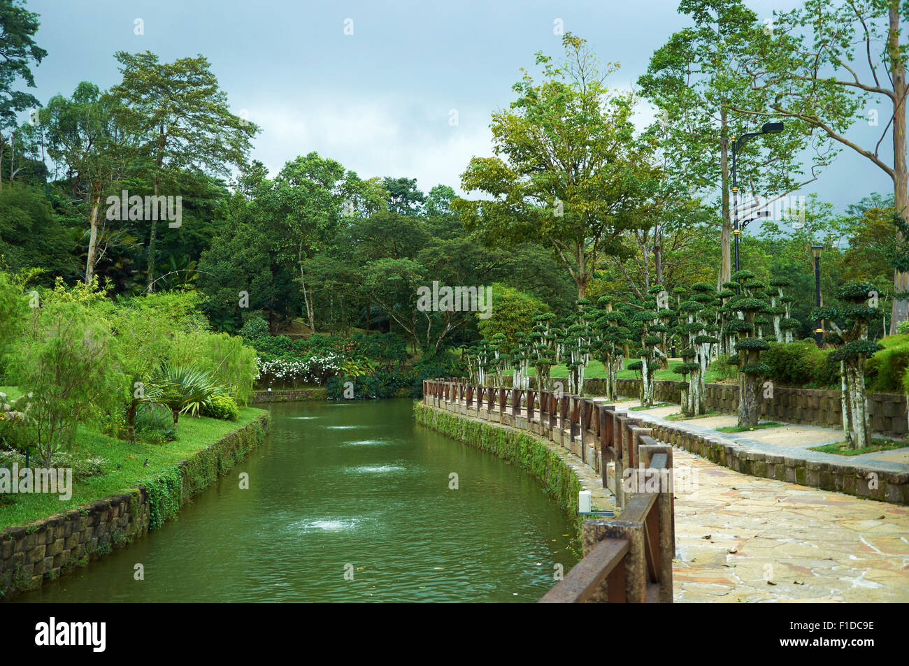 Tropischen Park mit Fluss und Zierbäumen Stockfoto