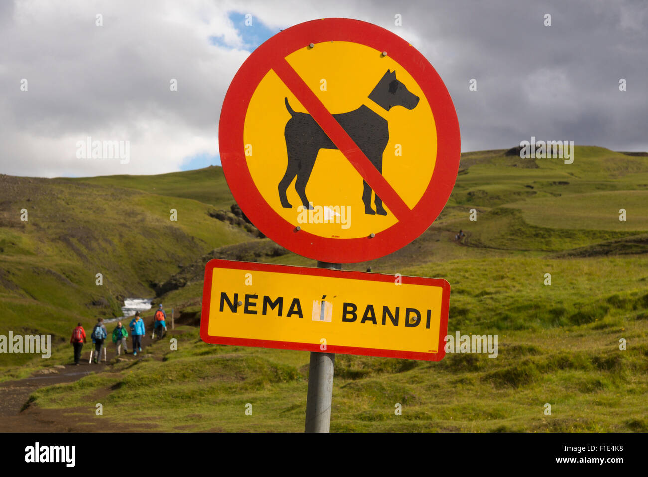 Ein Zeichen in den Highlands über Skogafoss Wasserfall "Nemi ĺ Bandi" (keine Hunde) Stockfoto