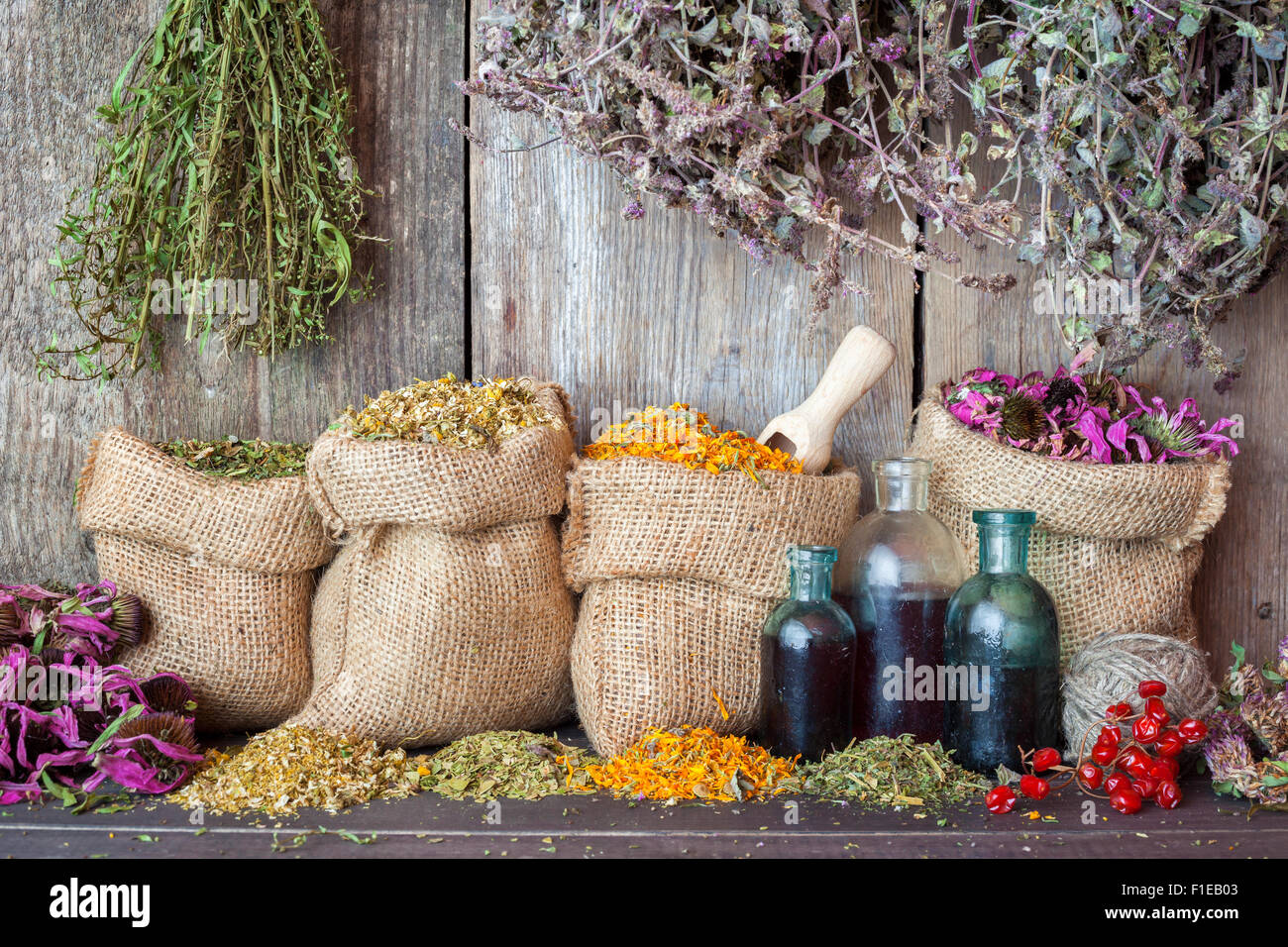 Heilkräuter in Hessischen Taschen und Flaschen von ätherischen Ölen in der Nähe von rustikalen Holzwand, Kräutermedizin. Stockfoto